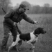 hunting dog tricks
